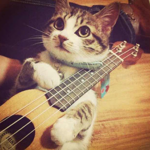 俩女互相做爱的视频电影
